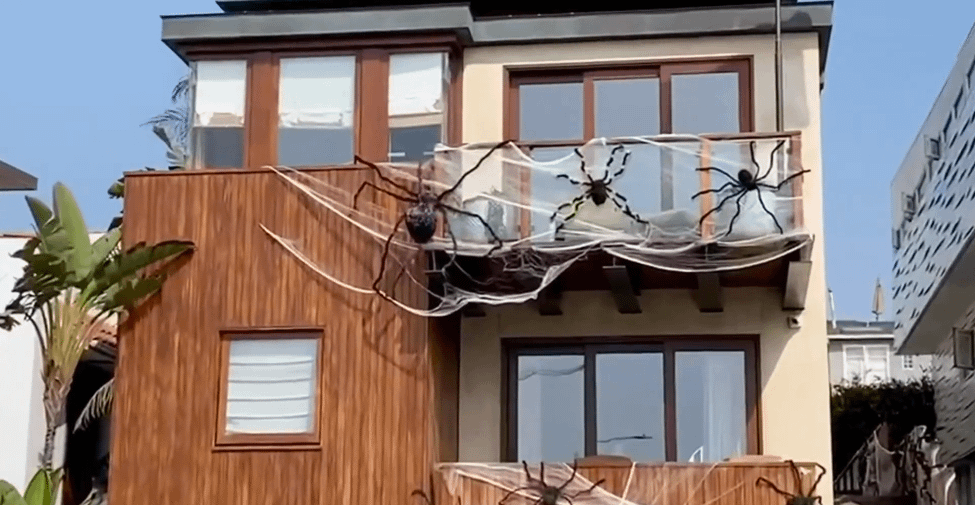 Hermosa Beach Events A Guide to the Best Local Festivities Fancy Beaches