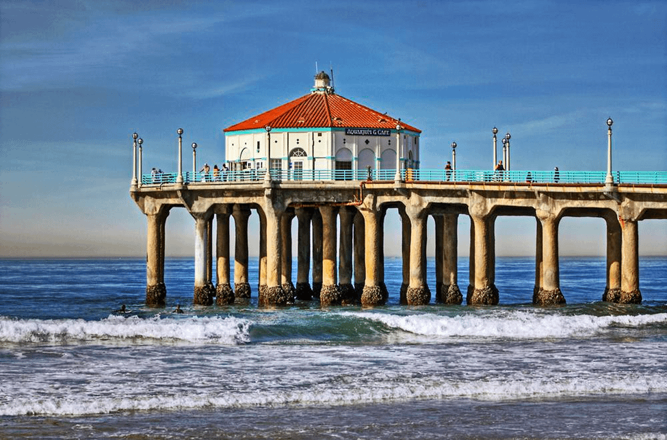 does manhattan beach allow dogs