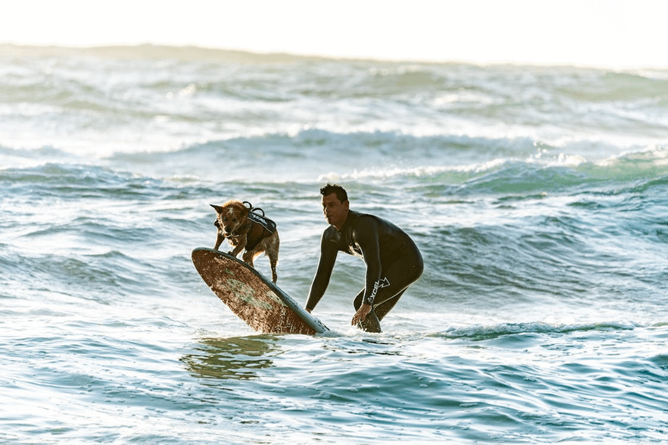 Surf Lessons in Redondo Beach A Comprehensive Guide Fancy Beaches